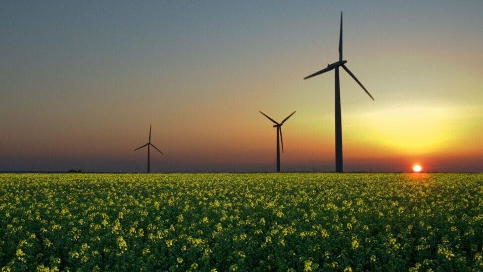 Sustainability Weekly Blog – Week 21