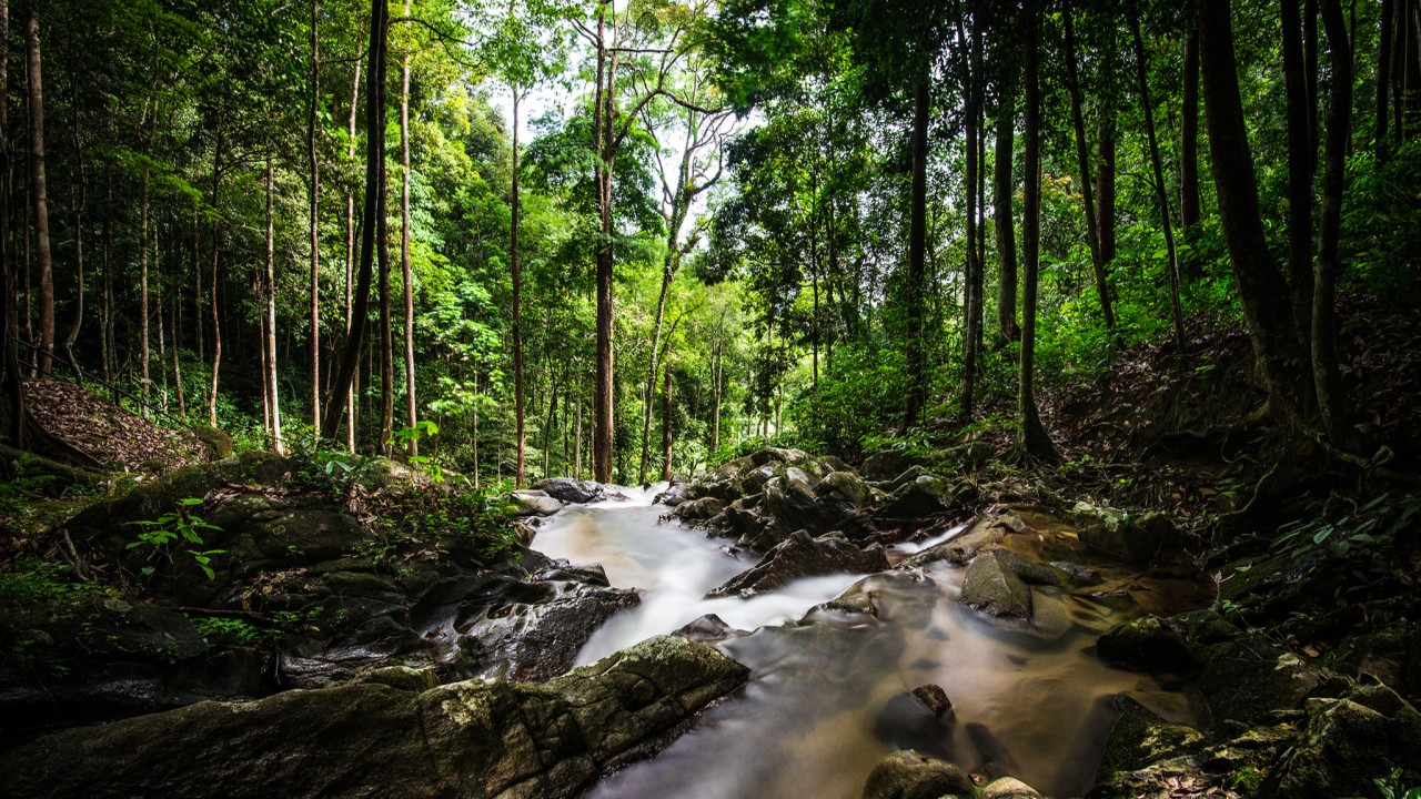 Sustainability Weekly Blog: Week 24
